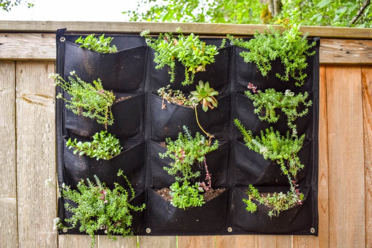 Fabric-wall-pocket-garden